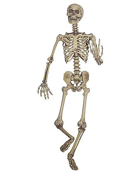 5 Ft Hanging Skeleton Decoration 1 5 Ft Hanging Skeleton Decoration