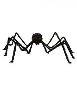 5 Ft Black Spider