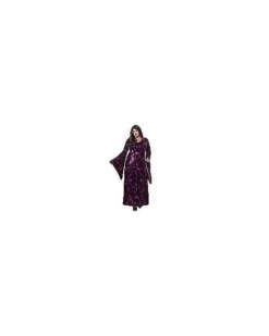 Adult Velvet Celestial Robe -Online Halloween Decoration 01475532 d