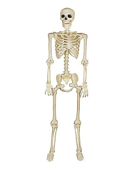 5 Ft Blacklight Skeleton 1 5 Ft Blacklight Skeleton