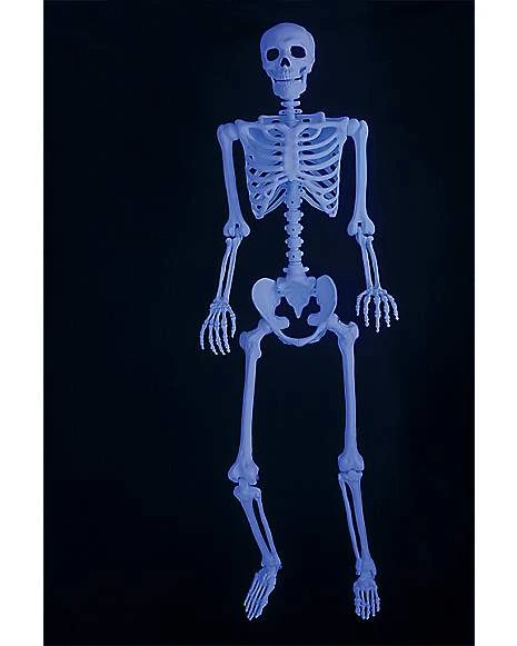 5 Ft Blacklight Skeleton 2 5 Ft Blacklight Skeleton - Image 2