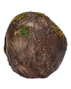 Moss Skull -Online Halloween Decoration 01477157 c