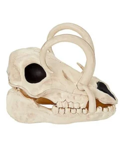Boar Skull -Online Halloween Decoration 01528785 b