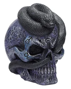 Mystical Arts Snake Skull -Online Halloween Decoration 01542786 c