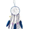 Blue And Purple Dream Catcher