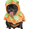 Pumpkin Pet Costume