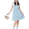 Adult Dorothy Dress Costume - The Wizard Of Oz