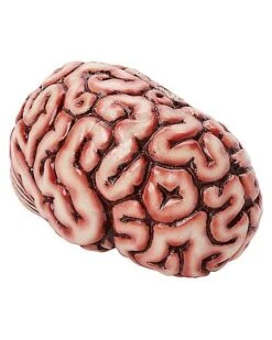 Brain Prop