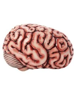 Brain Prop -Online Halloween Decoration 01588334 c