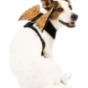 Orange Web Wings Pet Harness