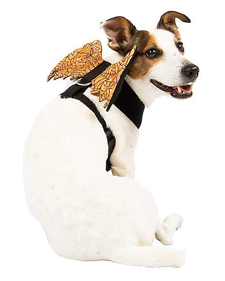 Orange Web Wings Pet Harness 1 Orange Web Wings Pet Harness